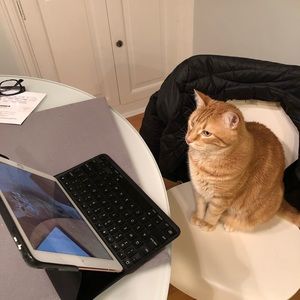 Meet your Posher, Niki